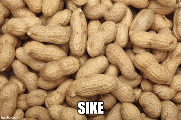 Deez Nuts | SIKE | image tagged in deez nuts | made w/ Imgflip meme maker