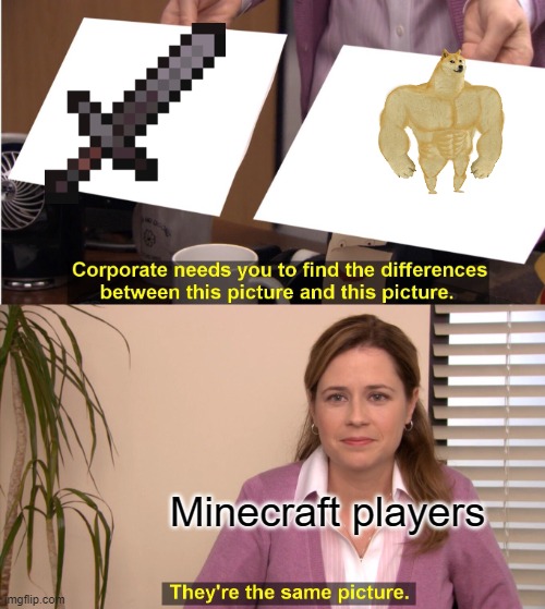 They're The Same Picture Meme | Minecraft players | image tagged in memes,they're the same picture | made w/ Imgflip meme maker