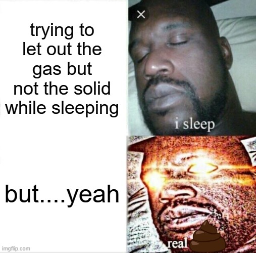 poopy pants | trying to let out the gas but not the solid while sleeping; but....yeah | image tagged in memes,sleeping shaq,funny,poop,you smell,just kidding you're cool | made w/ Imgflip meme maker