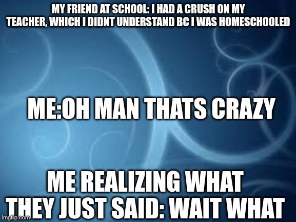 ¨what did he say¨    (Based On True Story) | MY FRIEND AT SCHOOL: I HAD A CRUSH ON MY TEACHER, WHICH I DIDNT UNDERSTAND BC I WAS HOMESCHOOLED; ME:OH MAN THATS CRAZY; ME REALIZING WHAT THEY JUST SAID: WAIT WHAT | image tagged in what did you say,crush,confusion,incest | made w/ Imgflip meme maker