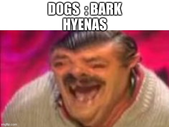 hahahahahahahahahahahahahahahahahahahahahahaha | HYENAS; DOGS  : BARK | image tagged in memes,blank white template,funny,hyena | made w/ Imgflip meme maker