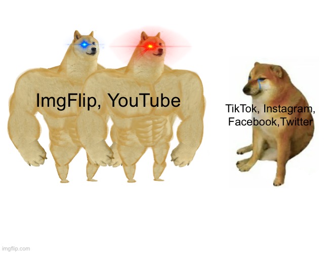 Both are Most Superior… | ImgFlip, YouTube; TikTok, Instagram, Facebook,Twitter | image tagged in memes,buff doge vs cheems | made w/ Imgflip meme maker
