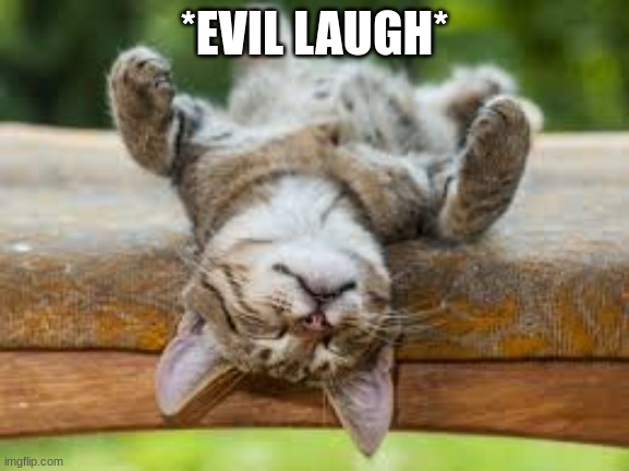 *EVIL LAUGH* | image tagged in lol | made w/ Imgflip meme maker