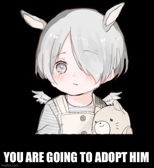 You are going to adopt him | YOU ARE GOING TO ADOPT HIM | made w/ Imgflip meme maker