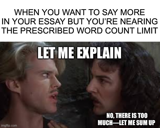 WHEN YOU WANT TO SAY MORE IN YOUR ESSAY BUT YOU’RE NEARING THE PRESCRIBED WORD COUNT LIMIT; LET ME EXPLAIN; NO, THERE IS TOO MUCH—LET ME SUM UP | image tagged in blank white template,why am i,the princess bride | made w/ Imgflip meme maker