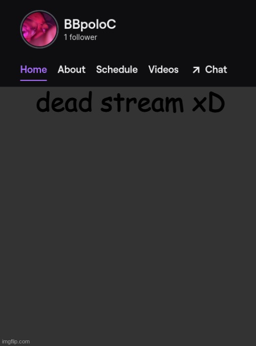 Twitch template | dead stream xD | image tagged in twitch template | made w/ Imgflip meme maker