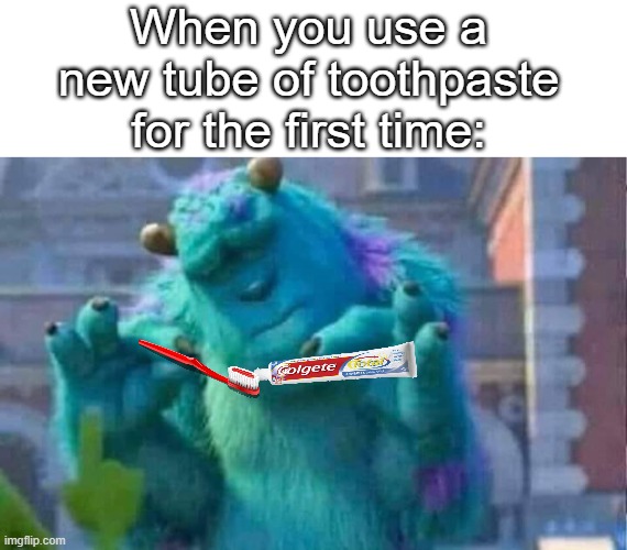 When you use a new tube of toothpaste for the first time: | image tagged in memes,sully shutdown,perfection,relatable,funny memes,dentist | made w/ Imgflip meme maker