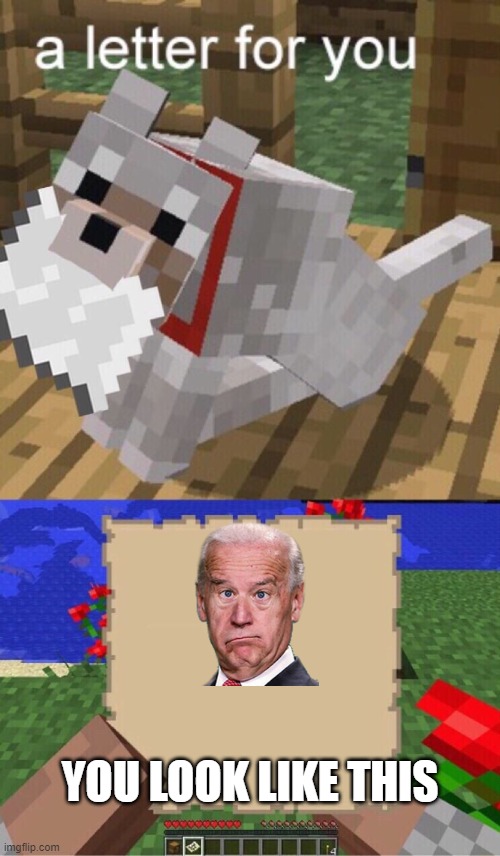 Minecraft Mail | YOU LOOK LIKE THIS | image tagged in minecraft mail | made w/ Imgflip meme maker