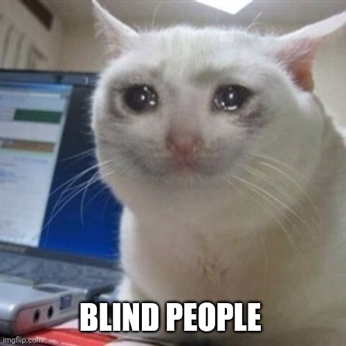 Crying cat | BLIND PEOPLE | image tagged in crying cat | made w/ Imgflip meme maker