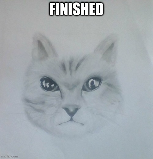 FINISHED | made w/ Imgflip meme maker