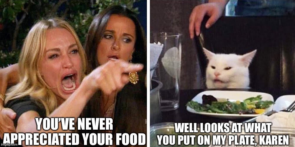 What is that on my plate? | YOU’VE NEVER APPRECIATED YOUR FOOD; WELL LOOKS AT WHAT YOU PUT ON MY PLATE, KAREN | image tagged in smudge the cat,unappreciated,feeding | made w/ Imgflip meme maker