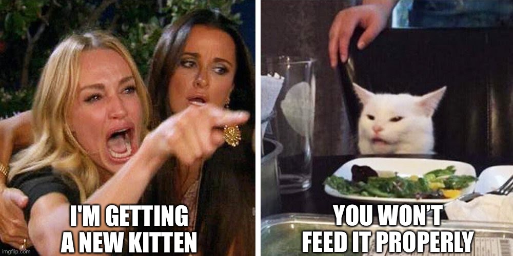 New Cat Karen | I'M GETTING A NEW KITTEN; YOU WON’T FEED IT PROPERLY | image tagged in smudge the cat,kitten,feeding | made w/ Imgflip meme maker