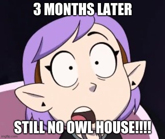 Shocked Amity | 3 MONTHS LATER; STILL NO OWL HOUSE!!!! | image tagged in shocked amity | made w/ Imgflip meme maker