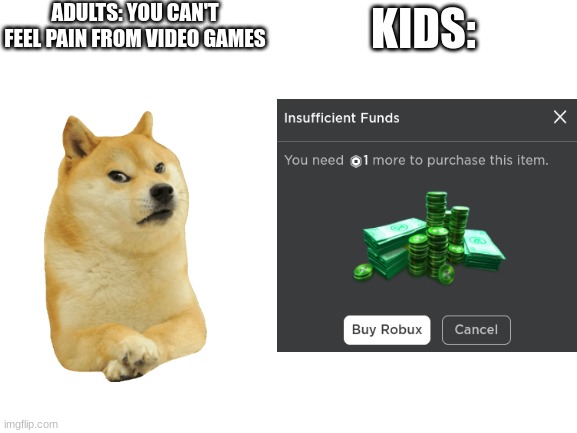 comeon you had to have felt that | ADULTS: YOU CAN'T FEEL PAIN FROM VIDEO GAMES; KIDS: | image tagged in robux | made w/ Imgflip meme maker