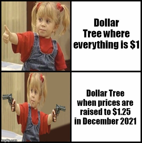 End of Stores with Items Costing Only a Buck as We Know It | Dollar Tree where everything is $1; Dollar Tree when prices are raised to $1.25 in December 2021 | image tagged in michelle tanner drake reverse format,meme,memes,dollar tree | made w/ Imgflip meme maker