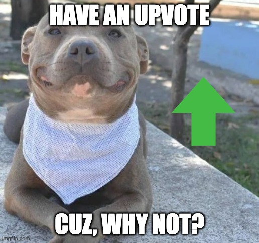 happy doggo | HAVE AN UPVOTE; CUZ, WHY NOT? | image tagged in happy doggo | made w/ Imgflip meme maker