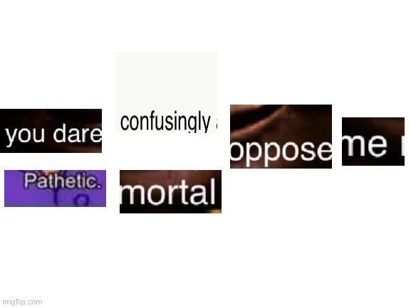 You dare confusingly oppose me pathetic mortal Blank Meme Template