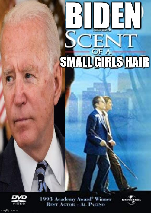 Scent of a Scumbag | BIDEN; SMALL GIRLS HAIR | image tagged in hair sniff,fresh prince of smell hair | made w/ Imgflip meme maker