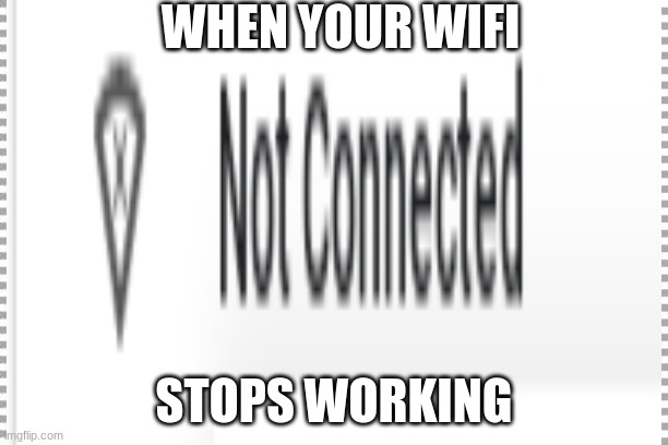 when your wifi stops working | WHEN YOUR WIFI; STOPS WORKING | image tagged in none of my business | made w/ Imgflip meme maker