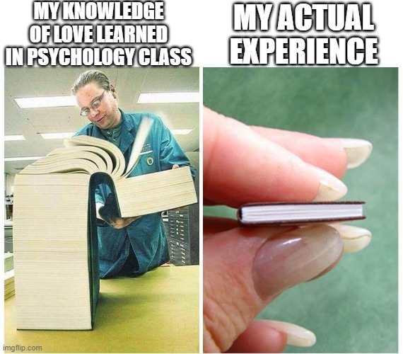 really | MY KNOWLEDGE OF LOVE LEARNED IN PSYCHOLOGY CLASS; MY ACTUAL EXPERIENCE | image tagged in big book small book,love,psychology,memes | made w/ Imgflip meme maker