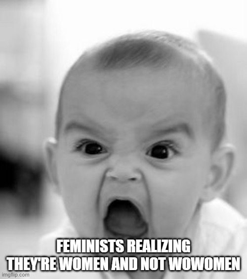 Angry Baby Meme | FEMINISTS REALIZING THEY'RE WOMEN AND NOT WOWOMEN | image tagged in memes,angry baby | made w/ Imgflip meme maker