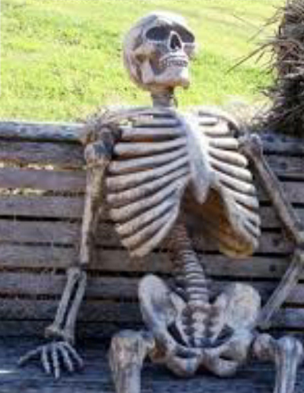 High Quality Waiting skeleton Blank Meme Template