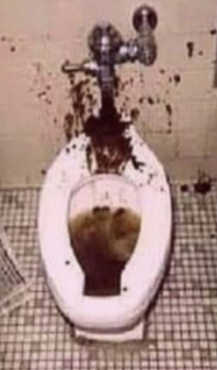 Shitty toilet Blank Meme Template