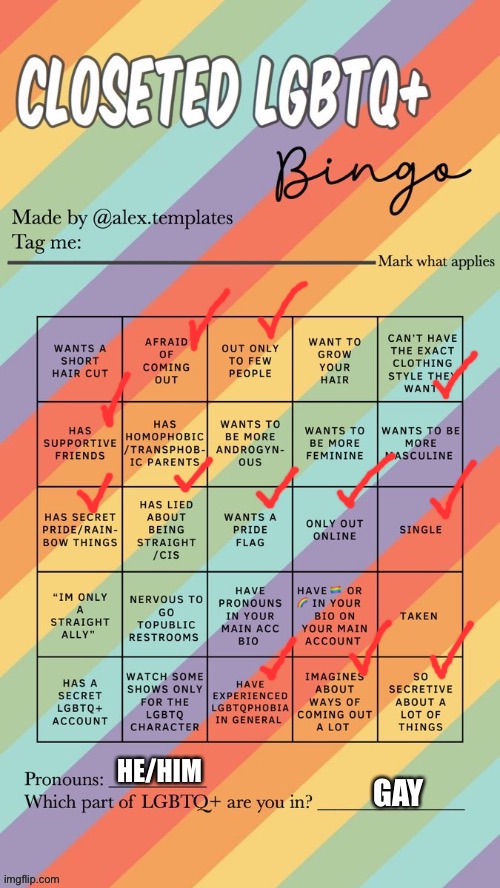 Closeted LGBTQ+ Bingo | HE/HIM; GAY | image tagged in closeted lgbtq bingo | made w/ Imgflip meme maker