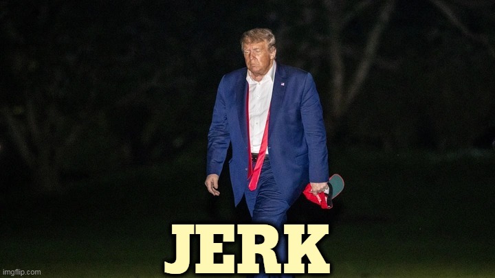 Trump Tulsa Big Fat Loser Defeat | JERK | image tagged in trump tulsa big fat loser defeat,trump,jerk,idiot,fool,moron | made w/ Imgflip meme maker