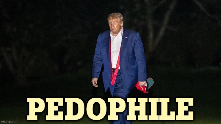 Trump Tulsa Big Fat Loser Defeat | PEDOPHILE | image tagged in trump tulsa big fat loser defeat,trump,girls,too early,models,teenagers | made w/ Imgflip meme maker