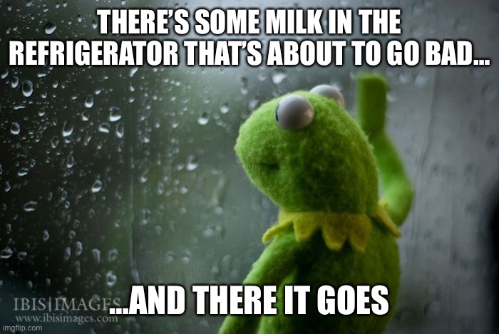Milk | THERE’S SOME MILK IN THE REFRIGERATOR THAT’S ABOUT TO GO BAD…; …AND THERE IT GOES | image tagged in kermit window,funny meme,milk carton,milk,bipolar | made w/ Imgflip meme maker