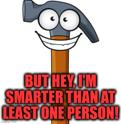 BUT HEY, I'M SMARTER THAN AT LEAST ONE PERSON! | made w/ Imgflip meme maker