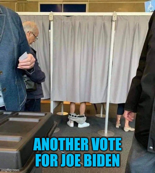 The Biden Constituency | ANOTHER VOTE FOR JOE BIDEN | image tagged in memes,some people are pervs | made w/ Imgflip meme maker