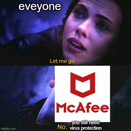 seriously | eveyone; you still need virus protection | image tagged in let me go no | made w/ Imgflip meme maker