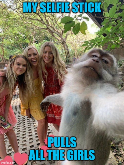 The Monkey Shines | MY SELFIE STICK; PULLS ALL THE GIRLS | image tagged in memes,chix | made w/ Imgflip meme maker