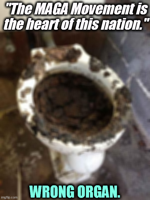 An inexhaustible supply | "The MAGA Movement is the heart of this nation."; WRONG ORGAN. | image tagged in toilet,maga,trump,bull,shine,garbage | made w/ Imgflip meme maker