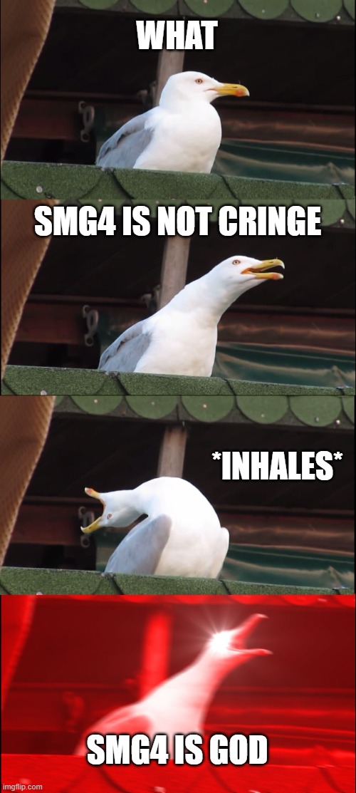 Inhaling Seagull Meme | WHAT SMG4 IS NOT CRINGE *INHALES* SMG4 IS GOD | image tagged in memes,inhaling seagull | made w/ Imgflip meme maker