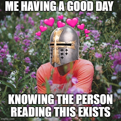 today wuz a good day | ME HAVING A GOOD DAY; KNOWING THE PERSON READING THIS EXISTS | image tagged in wholesome meme boy,wholesome,crusader | made w/ Imgflip meme maker