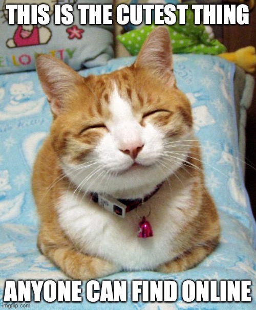 Cat With Happy Face | THIS IS THE CUTEST THING; ANYONE CAN FIND ONLINE | image tagged in cats,memes | made w/ Imgflip meme maker