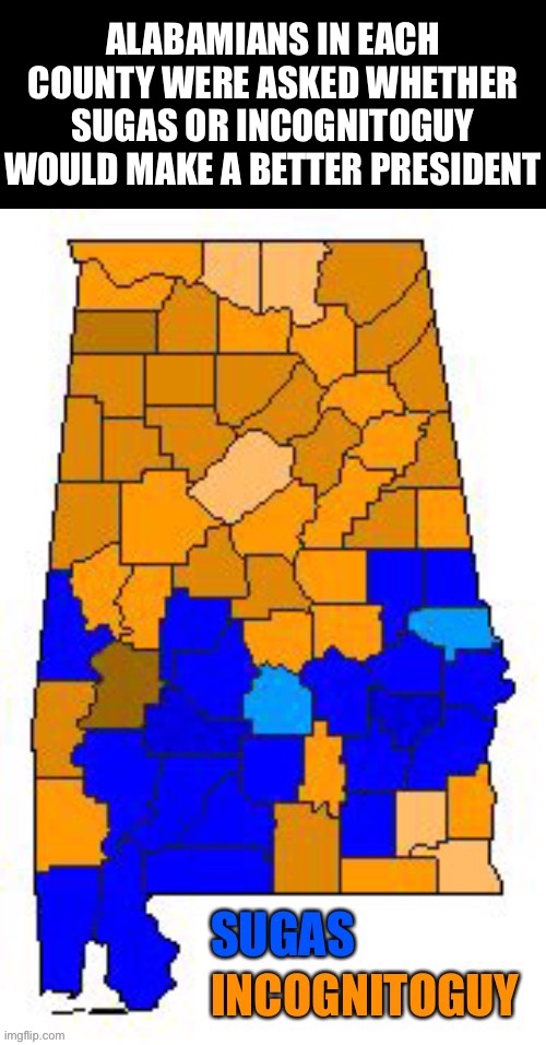 Who do you think is more popular? Comment down below! | ALABAMIANS IN EACH COUNTY WERE ASKED WHETHER SUGAS OR INCOGNITOGUY WOULD MAKE A BETTER PRESIDENT | image tagged in imgflip presidents,sweet home alabama,oh wow are you actually reading these tags | made w/ Imgflip meme maker