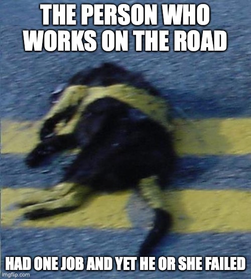 Kitty With Paint |  THE PERSON WHO WORKS ON THE ROAD; HAD ONE JOB AND YET HE OR SHE FAILED | image tagged in paint,cats,memes | made w/ Imgflip meme maker