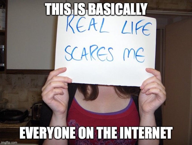 IRL is Scary |  THIS IS BASICALLY; EVERYONE ON THE INTERNET | image tagged in irl,memes | made w/ Imgflip meme maker