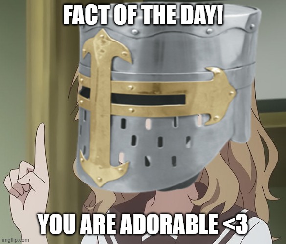 fact of the day! :3 | FACT OF THE DAY! YOU ARE ADORABLE <3 | image tagged in anime,facts,crusader,wholesome | made w/ Imgflip meme maker