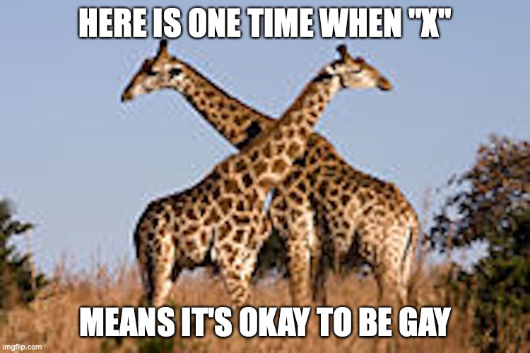 Giraffes | HERE IS ONE TIME WHEN "X"; MEANS IT'S OKAY TO BE GAY | image tagged in memes,funny,giraffe | made w/ Imgflip meme maker