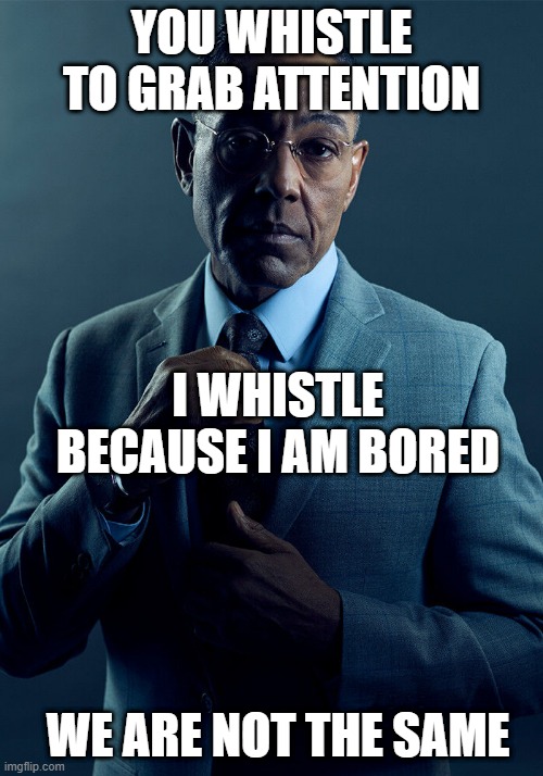 We not same | YOU WHISTLE TO GRAB ATTENTION; I WHISTLE BECAUSE I AM BORED; WE ARE NOT THE SAME | image tagged in gus fring we are not the same | made w/ Imgflip meme maker