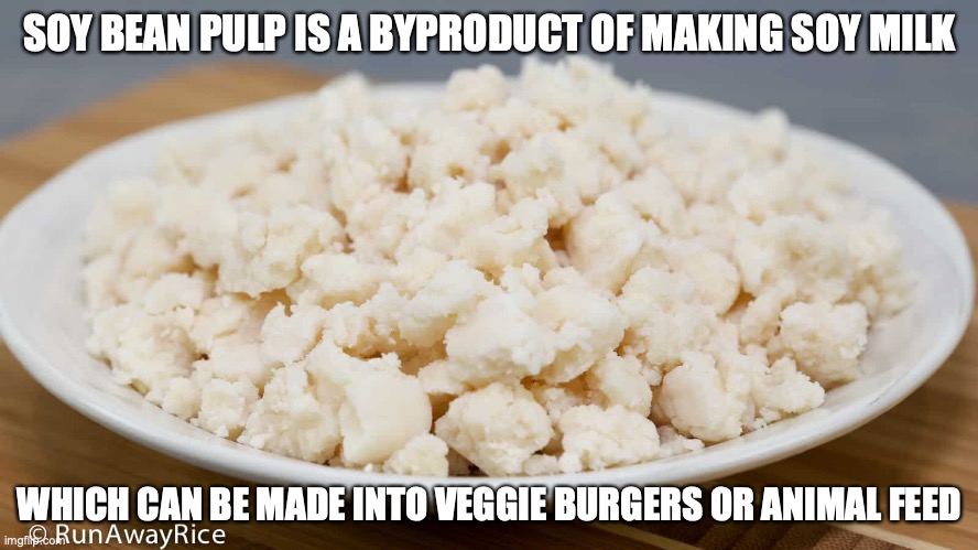 Soy Bean Pulp | SOY BEAN PULP IS A BYPRODUCT OF MAKING SOY MILK; WHICH CAN BE MADE INTO VEGGIE BURGERS OR ANIMAL FEED | image tagged in food,memes,soybean | made w/ Imgflip meme maker