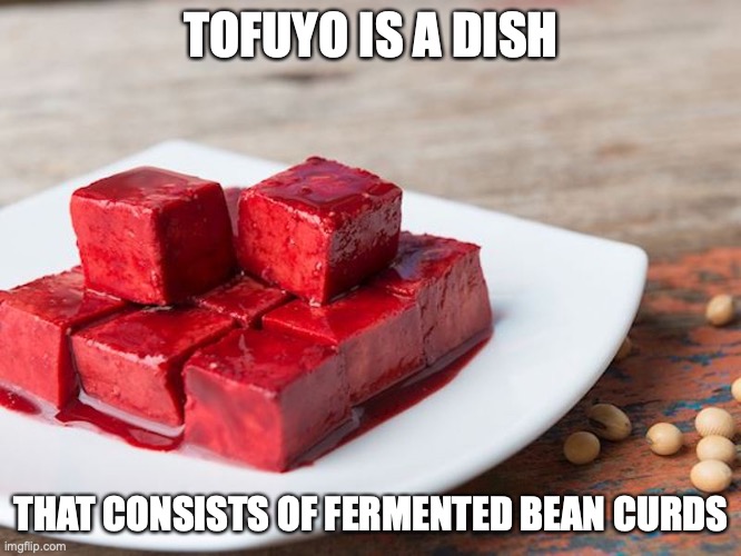 Tofuyo | TOFUYO IS A DISH; THAT CONSISTS OF FERMENTED BEAN CURDS | image tagged in memes,tofu,food | made w/ Imgflip meme maker