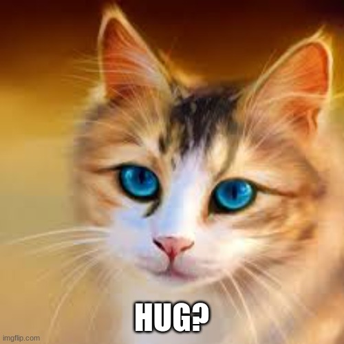HUG? | image tagged in lol | made w/ Imgflip meme maker