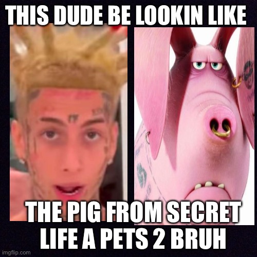 Black screen  | THIS DUDE BE LOOKIN LIKE; THE PIG FROM SECRET LIFE A PETS 2 BRUH | image tagged in black screen | made w/ Imgflip meme maker