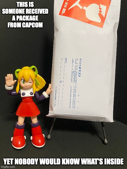 Package From Capcom | THIS IS SOMEONE RECEIVED A PACKAGE FROM CAPCOM; YET NOBODY WOULD KNOW WHAT'S INSIDE | image tagged in capcom,memes,package | made w/ Imgflip meme maker